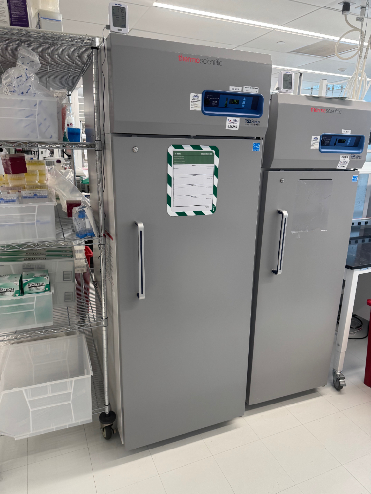 Image of Thermo TSX Series -20C Freezer